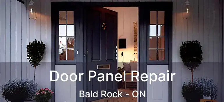 Door Panel Repair Bald Rock - ON
