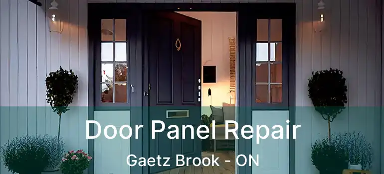  Door Panel Repair Gaetz Brook - ON