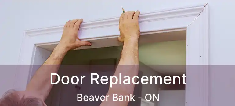  Door Replacement Beaver Bank - ON