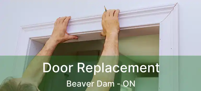  Door Replacement Beaver Dam - ON