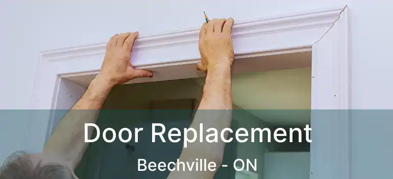  Door Replacement Beechville - ON