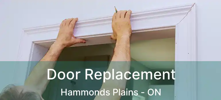  Door Replacement Hammonds Plains - ON