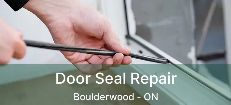  Door Seal Repair Boulderwood - ON