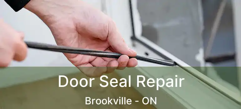  Door Seal Repair Brookville - ON