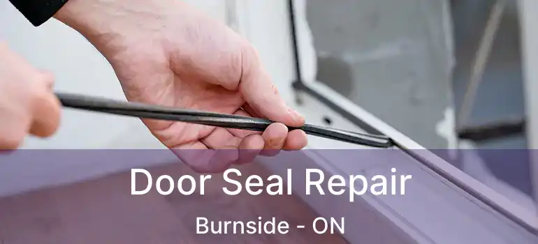  Door Seal Repair Burnside - ON