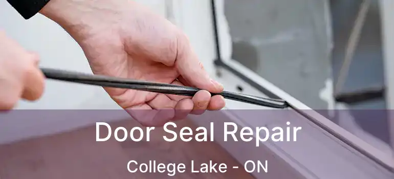  Door Seal Repair College Lake - ON