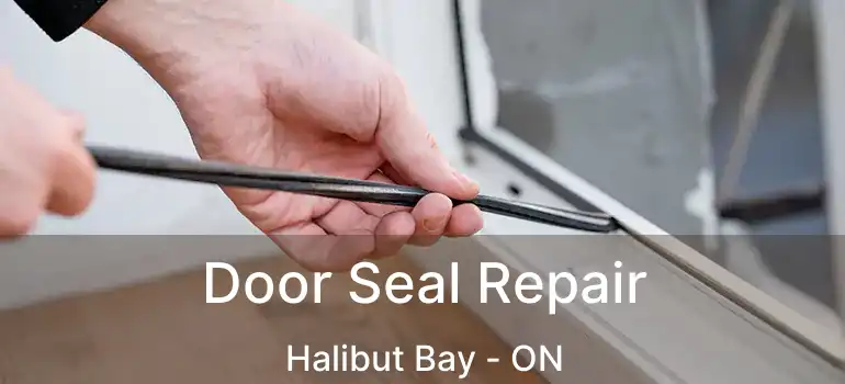  Door Seal Repair Halibut Bay - ON