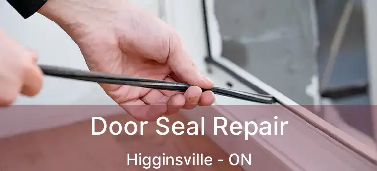  Door Seal Repair Higginsville - ON