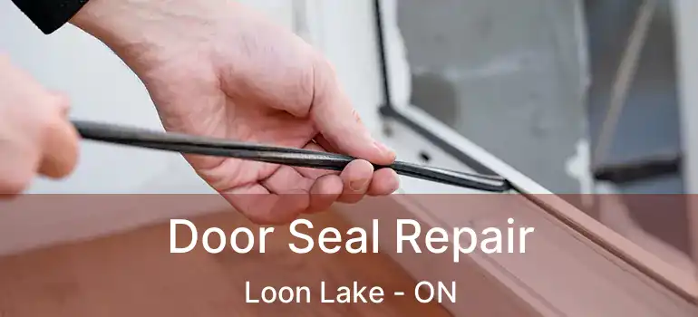  Door Seal Repair Loon Lake - ON