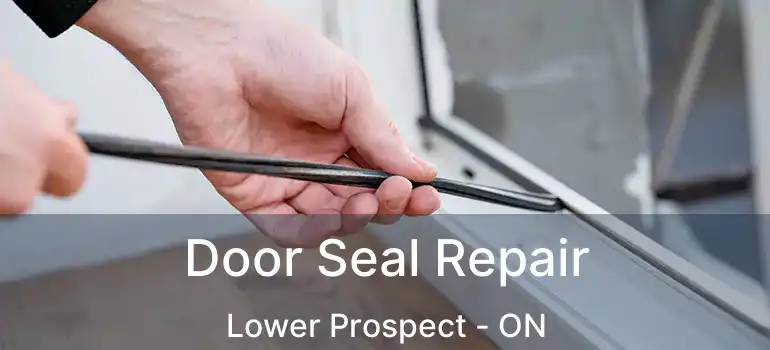  Door Seal Repair Lower Prospect - ON
