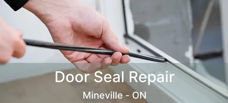  Door Seal Repair Mineville - ON
