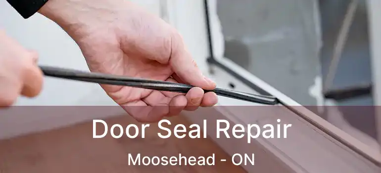  Door Seal Repair Moosehead - ON