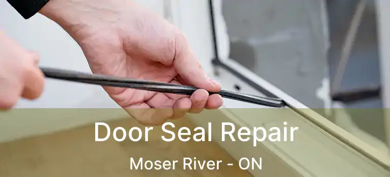 Door Seal Repair Moser River - ON