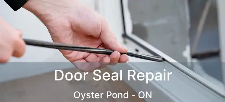  Door Seal Repair Oyster Pond - ON