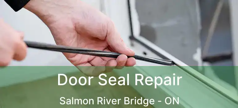  Door Seal Repair Salmon River Bridge - ON