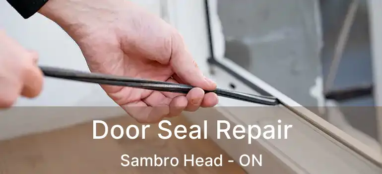  Door Seal Repair Sambro Head - ON