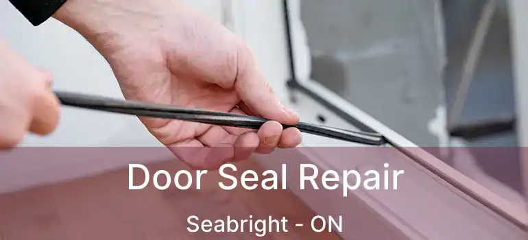  Door Seal Repair Seabright - ON
