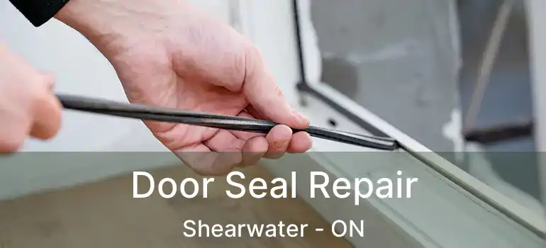  Door Seal Repair Shearwater - ON