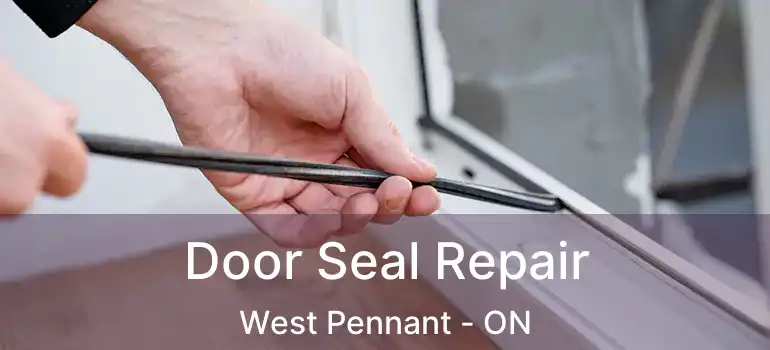  Door Seal Repair West Pennant - ON