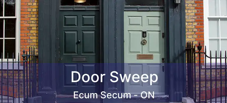  Door Sweep Ecum Secum - ON