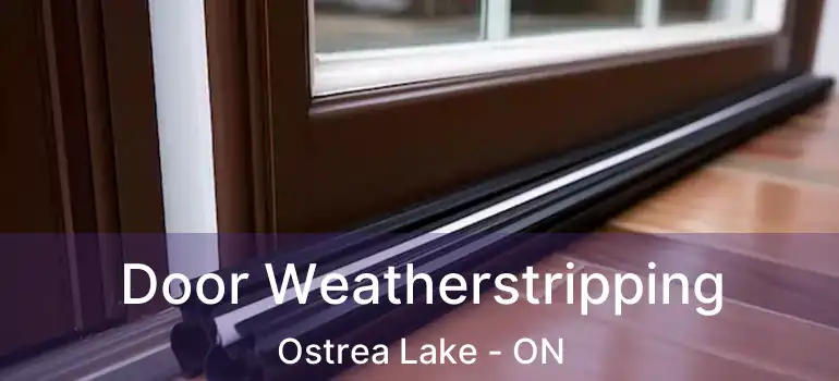  Door Weatherstripping Ostrea Lake - ON