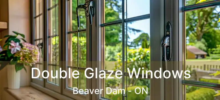  Double Glaze Windows Beaver Dam - ON