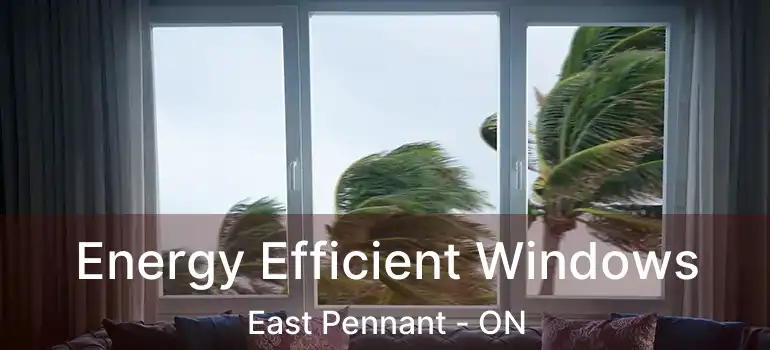  Energy Efficient Windows East Pennant - ON
