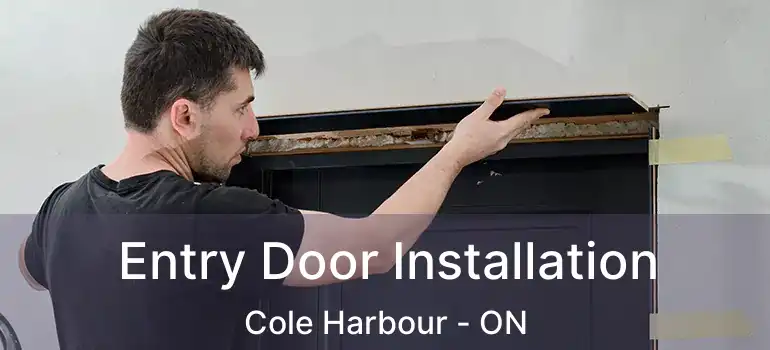 Entry Door Installation Cole Harbour - ON