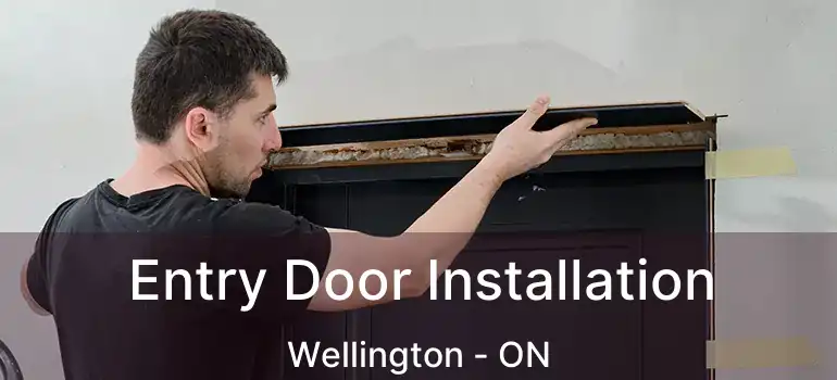  Entry Door Installation Wellington - ON