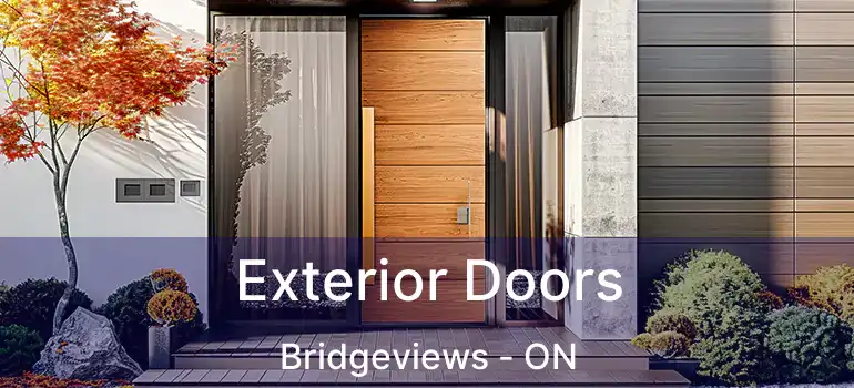  Exterior Doors Bridgeviews - ON