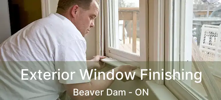  Exterior Window Finishing Beaver Dam - ON