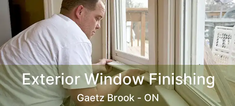  Exterior Window Finishing Gaetz Brook - ON