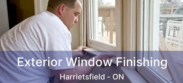  Exterior Window Finishing Harrietsfield - ON