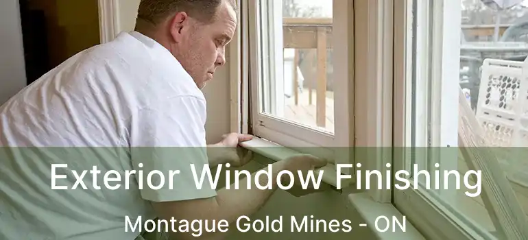  Exterior Window Finishing Montague Gold Mines - ON