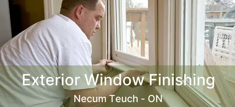  Exterior Window Finishing Necum Teuch - ON