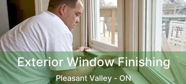  Exterior Window Finishing Pleasant Valley - ON
