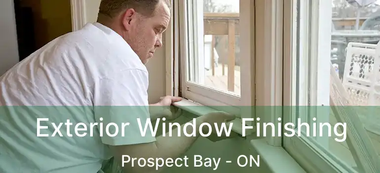  Exterior Window Finishing Prospect Bay - ON