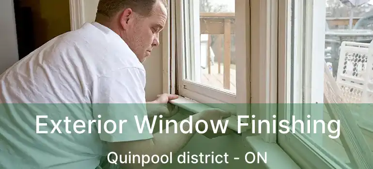  Exterior Window Finishing Quinpool district - ON