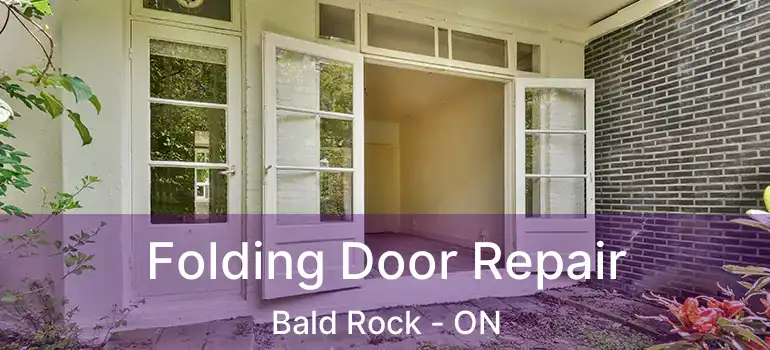  Folding Door Repair Bald Rock - ON