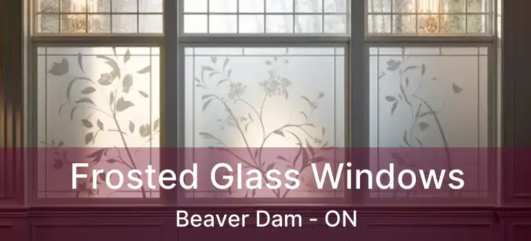  Frosted Glass Windows Beaver Dam - ON