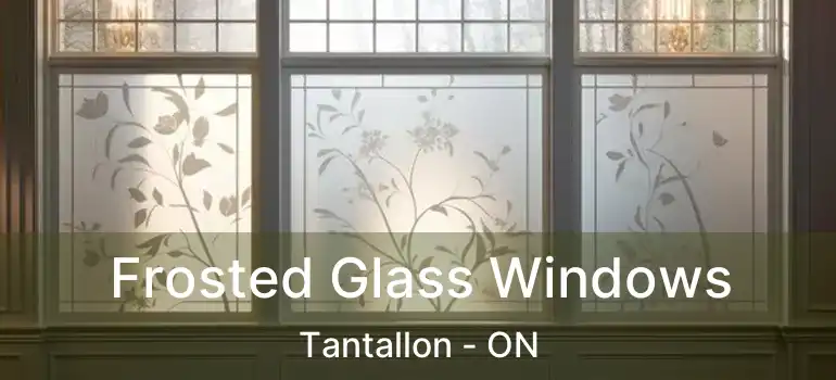  Frosted Glass Windows Tantallon - ON
