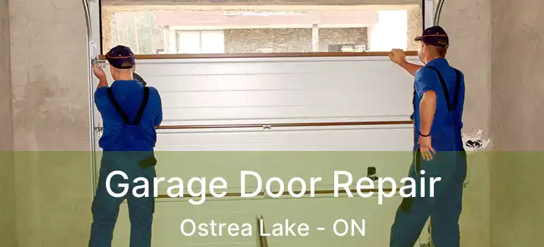  Garage Door Repair Ostrea Lake - ON