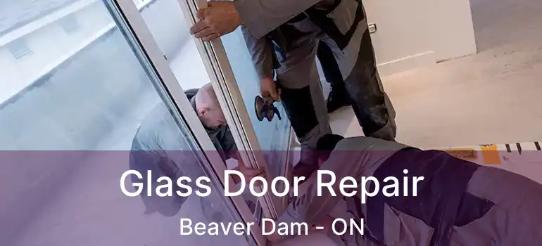  Glass Door Repair Beaver Dam - ON