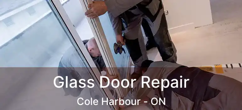  Glass Door Repair Cole Harbour - ON