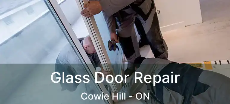  Glass Door Repair Cowie Hill - ON