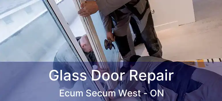  Glass Door Repair Ecum Secum West - ON