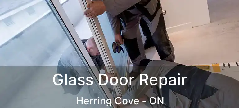  Glass Door Repair Herring Cove - ON