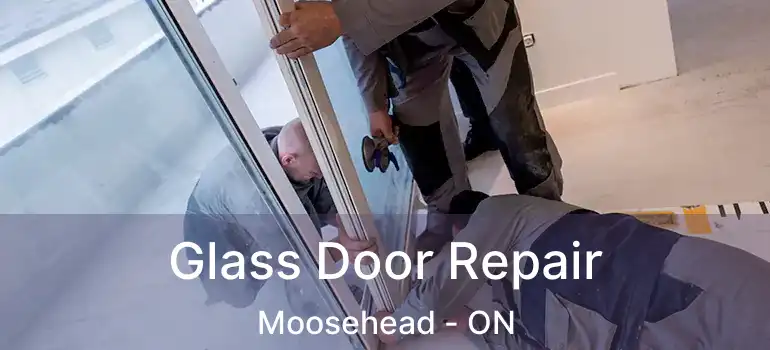  Glass Door Repair Moosehead - ON