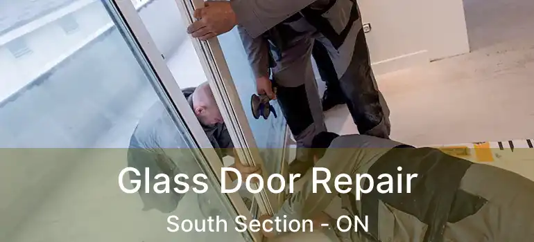  Glass Door Repair South Section - ON