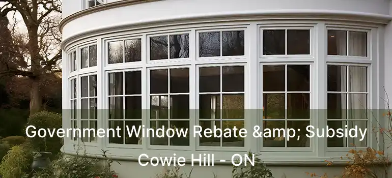  Government Window Rebate & Subsidy Cowie Hill - ON